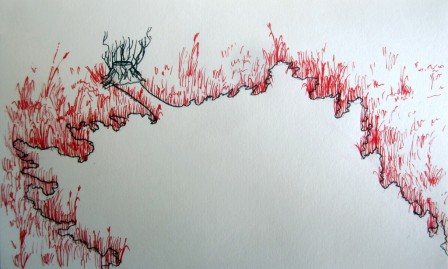Dessin préparatoire - Révérence - Claire VERGNOLLE, juin 2015 Dessin préparatoire - Révérence - Claire VERGNOLLE