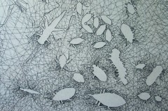 Travail en cours - Arantèle - Nastasja DUTHOIS, juin 2015 Travail en cours - Arantèle - Nastasja DUTHOIS