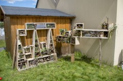 Atelier pédagogique - ALSH - BANNALEC, mai 2015 Atelier pédagogique - ALSH - BANNALEC