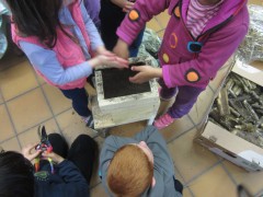 Atelier pédagogique - ALSH - SCAËR, mai 2015 Atelier pédagogique - ALSH - SCAËR