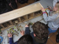 Atelier pédagogique - ALSH - SCAËR, mai 2015 Atelier pédagogique - ALSH - SCAËR