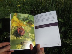 Livret d'interprétation - Polifolia, juin 2015 Livret d'interprétation - Polifolia