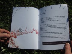Livret d'interprétation - Polifolia, juin 2015 Livret d'interprétation - Polifolia