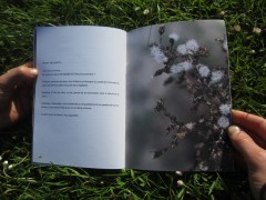 Livret d'interprétation - Polifolia, juin 2015 Livret d'interprétation - Polifolia