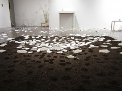 Eclosions - Claire Vergnolle, fév. 2015 Eclosions - Claire Vergnolle