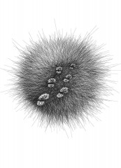 Pas - Nastasja Duthois, fév. 2015 Pas - Nastasja Duthois
