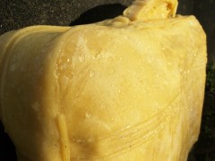 _1016002_MP.jpg, fév. 2016 _1016002_MP.jpg