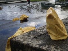 _1016029_MP.jpg, fév. 2016 _1016029_MP.jpg