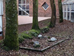 _1015987_MP.jpg, fév. 2016 _1015987_MP.jpg