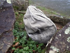 _1016040_MP.jpg, fév. 2016 _1016040_MP.jpg