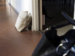 _1016061_MP.jpg, fév. 2016 _1016061_MP.jpg