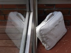 _1016083_MP.jpg, fév. 2016 _1016083_MP.jpg