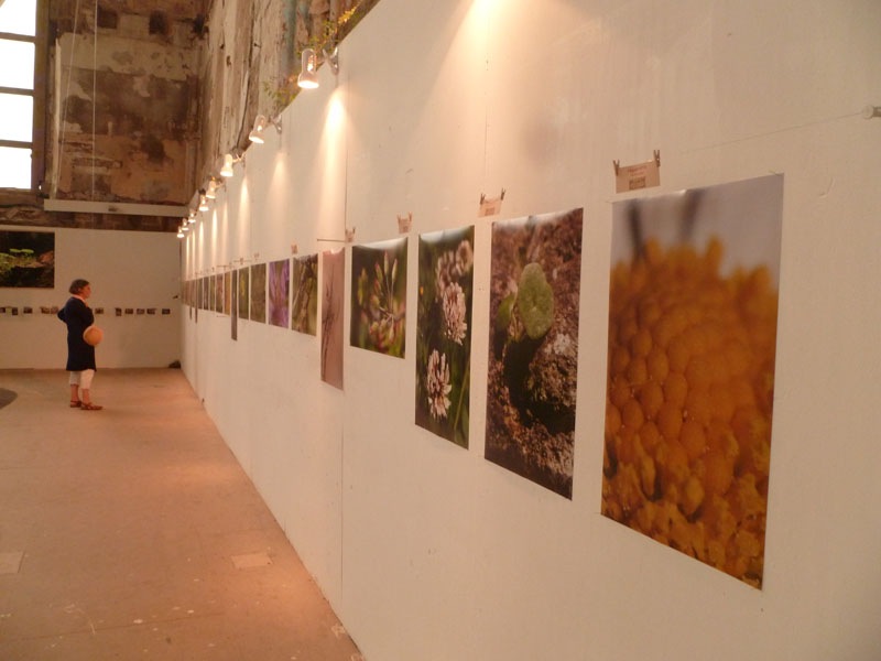 photo, août 2012 photo