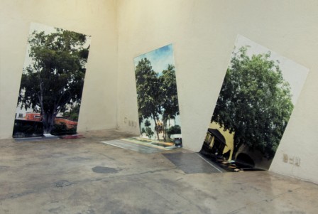 arboles_entete.jpg, déc. 2015 arboles_entete.jpg